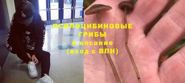 сатива Киреевск
