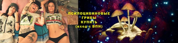 сатива Киреевск