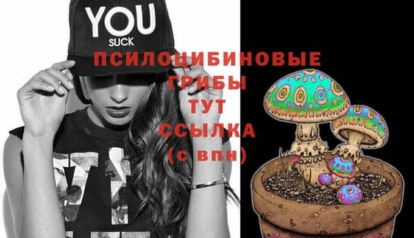 сатива Киреевск