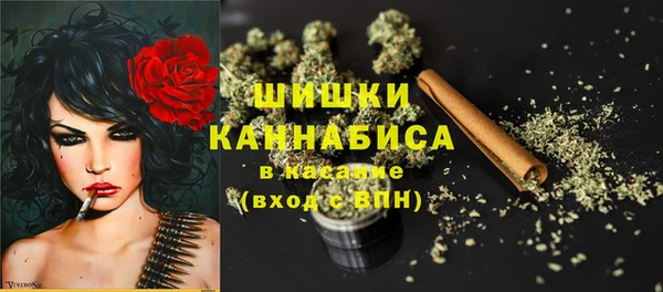 сатива Киреевск
