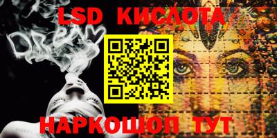 винт Будённовск