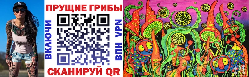 закладка  Невинномысск  Галлюциногенные грибы GOLDEN TEACHER 