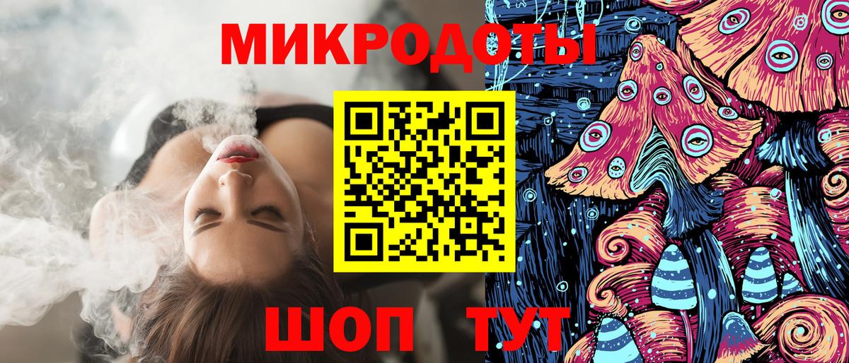 Галлюциногенные грибы Psilocybe  Невинномысск 