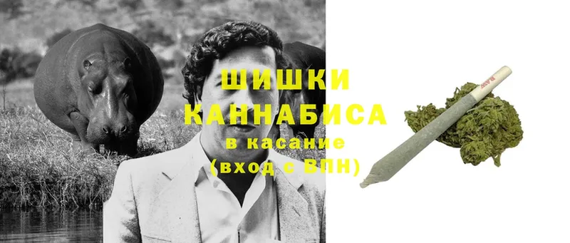 Бошки Шишки сатива  даркнет сайт  Невинномысск 